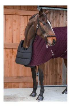 Harcour Gala Protege poitrail