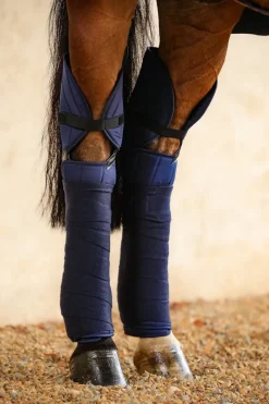 Harcour Hockease Proteges Jarrets