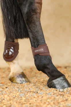 Harcour Maddi Proteges-boulets