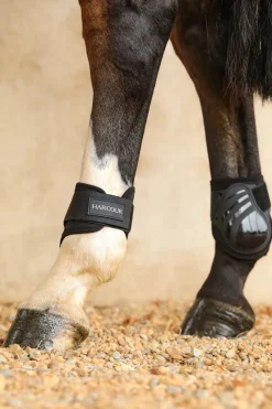 Harcour Maddi Proteges-boulets