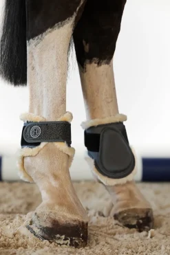 Harcour Totseen Proteges boulets