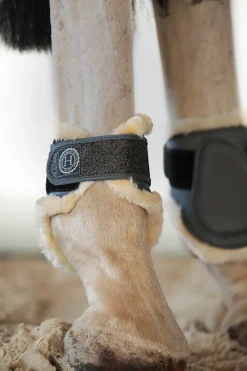 Harcour Totseen Proteges boulets