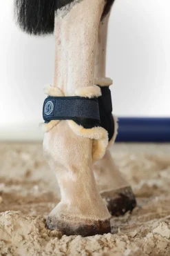 Harcour Totseen Proteges boulets